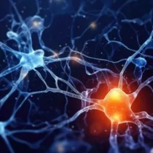 Imagen de portada para Curso online Neuro Ritual