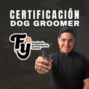 Imagen de portada para Curso online CERTIFICACIÓN PROFESIONAL DOG GROOMER