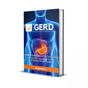Cover image for Ebook GERD - The Acid Reflux Survival Guide