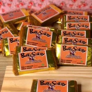 Imagem de capa para o Curso online Lucrando com ButterScotchy