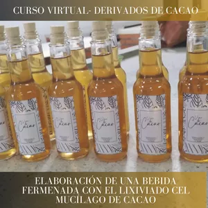 Imagen de portada para Curso online Vino de cacao