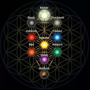 Imagem de capa para o Serviço online A Árvore da Vida