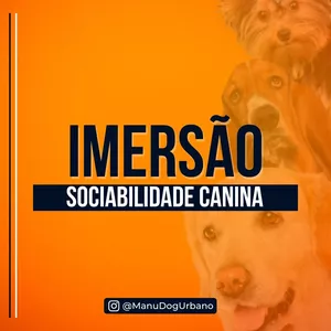 Imagem do curso Imersão Sociabilidade Canina