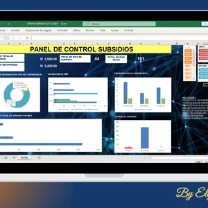 Imagen de portada para Curso online Dashboard Gestión de Subsidios