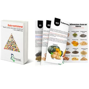 Imagen de portada para Ebook Guía nutricional para llevar una dieta sin carencias. 