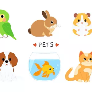 Cover image for Online service PETS - MEMORY GAME