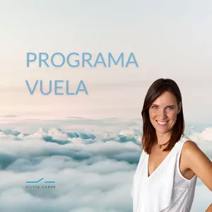 Imagen de portada para Curso online Programa Vuela