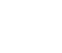 Applied Leadership Institute