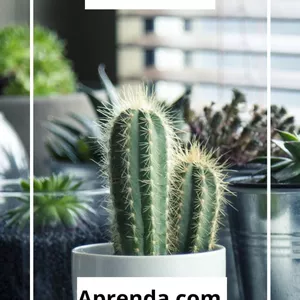 Imagem de capa para o Ebook aprendendo a cuidar dos seus cactos ( principalmente cactus core)