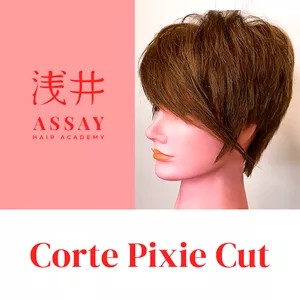 Imagem de capa para o Curso online Corte Curto Pixie 