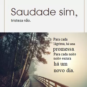 Imagem de capa para o Ebook Saudade sim, tristeza não; livro que trará respostas as perdas.
