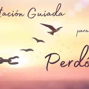 Imagen de portada para Curso online Meditación para el Perdón