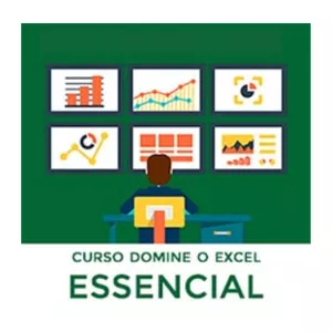 Imagem de capa para o Curso online Domine o Excel Essencial