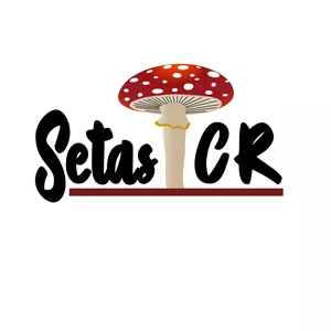 Imagen de portada para Curso online Setas de Costa Rica