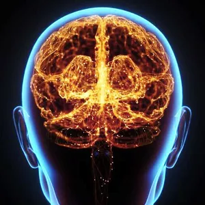 Imagem de capa para o Ebook Cérebro e Bem-estar