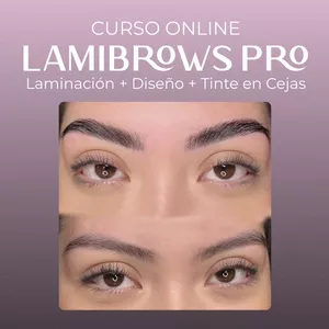 Imagen de portada para Curso online LAMIBROWS PRO