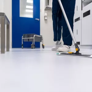 Imagen de portada para Curso online Limpieza real 