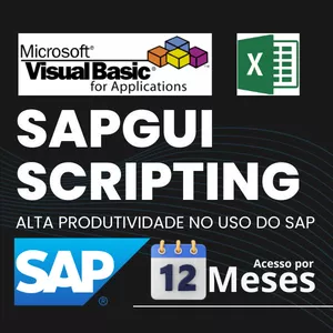 Imagem de capa para o Curso online SAP GUI SCRIPTING COM VBA (Acesso 12 Meses)