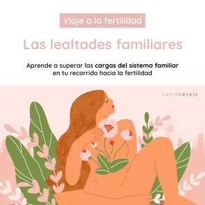 Imagen de portada para Curso online Etapa 5: Las lealtades familiares