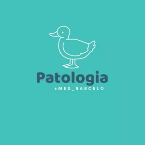 Imagen de portada para Curso online Patologías Renales
