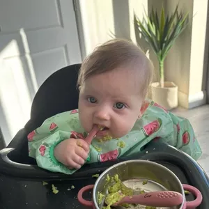 Imagem de capa para o Curso online Introdução Alimentar de Sucesso 