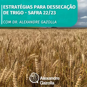 Imagem de capa para o Curso online Estratégias para Dessecação de Trigo - Safra 22/23