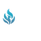 Fenix Forensics