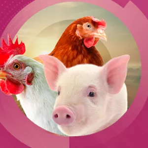 Imagen de portada para Ebook CRIANZA DE AVES Y CERDOS 