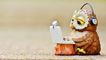 Owlet Learning 