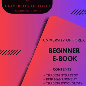 Cover image for Ebook University of Forex Beginner E-BOOK