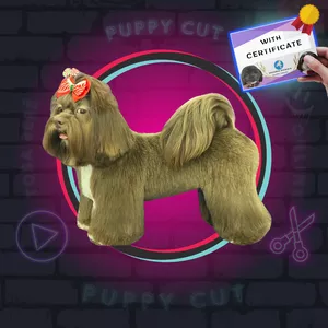 Cover image for Online course All-Over Cut