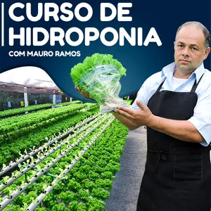 Imagem do curso CURSO ONLINE DE HIDROPONIA - COM MAURO RAMOS