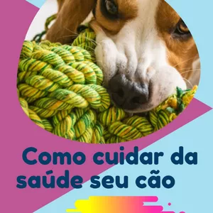 Imagem de COMO CUIDAR DA SAÚDE DE SEU CÃO criado por zeca.com empreendorismo digital na hotmart