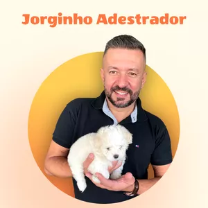 Imagem de capa para o Evento online Técnicas práticas: como ensinar o cão a não puxar a coleira (Premium)