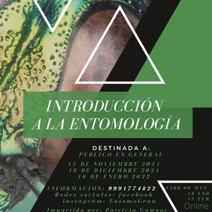 Imagen de portada para Evento online INTRODUCCIÓN A LA ENTOMOLOGÍA 