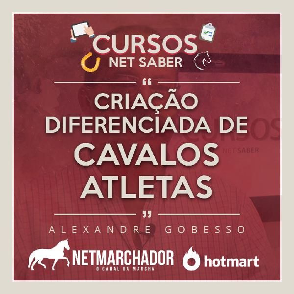 Capa do curso 