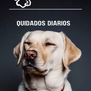 Imagem de capa para o Curso online Quidados Para Caes