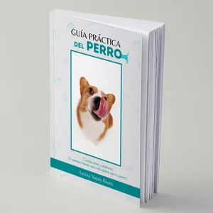 Imagen de portada para Curso online Guía Práctica del Perro