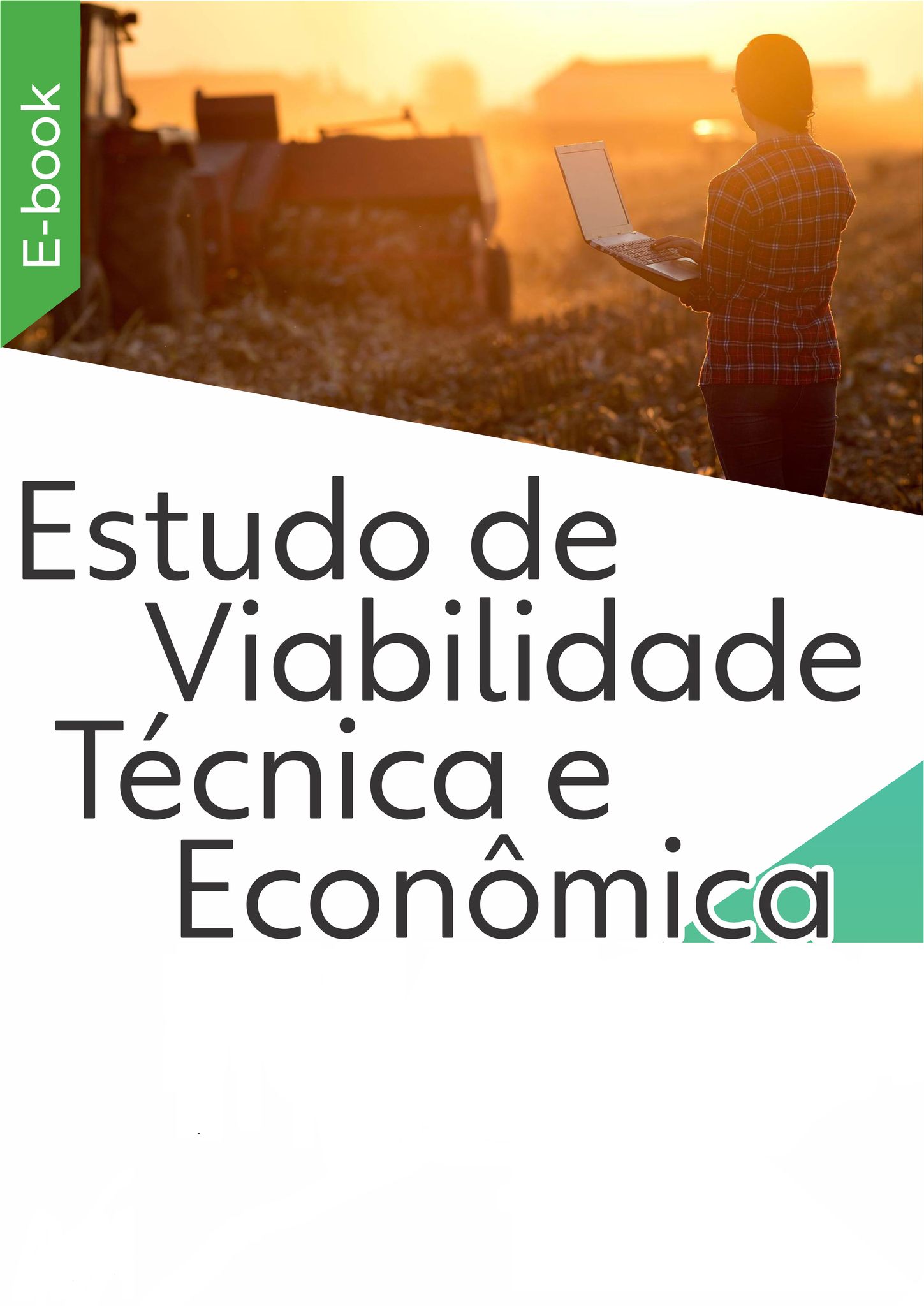 Imagem do curso Estudo de Viabilidade Técnica e Financeira