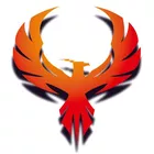 Foto do Criador FÊNIX SEGURANÇA E SAÚDE