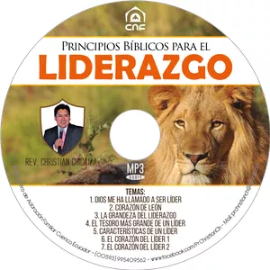 Imagen de portada para Curso online PRINCIPIOS BÍBLICOS PARA EL LIDERAZGO - MP3 DIGITAL