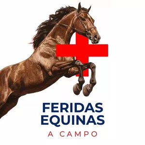 Imagem do curso Como tratar feridas em equinos à campo
