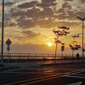 Cover image for Online course Sunrise at the Malecom