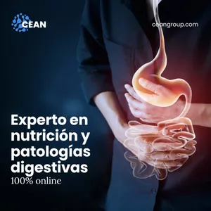 Imagen de portada para Curso online CURSO EXPERTO EN nutrición y patologías digestivas