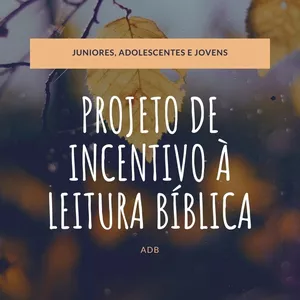 Imagem do curso Projeto de Incentivo à Leitura Bíblica - Juniores, Adolescentes e Jovens.