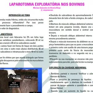 Imagem de capa para o Ebook Resumo buiatria - Laparatomia exploratória dos bovinos