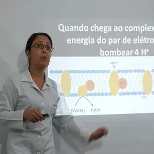 Curso Respiração Celular