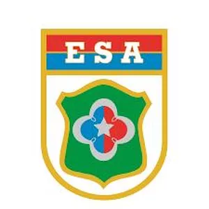 Imagem de capa para o Curso online RACIOCÍNIO LÓGICO PARA PROVA DA ESA