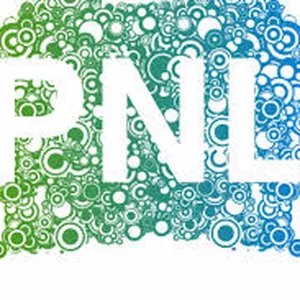 Imagen de portada para Ebook Manual de PNL