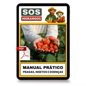 Imagem de capa para o Curso online [Morangos] Livro impresso | 1 unidade | SOS Morango: O Manual Simples para Salvar sua Lavoura de Insetos e Doenças